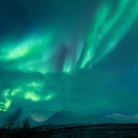 Sommerfeldts Living Lägenhet Tromsø