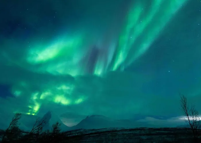 Sommerfeldts Living Lägenhet Tromsø